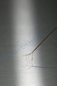 Three-wire food extractor