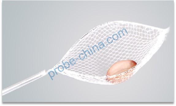 Extraction of peanut